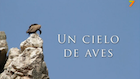 Un cielo de aves en extremaduratv